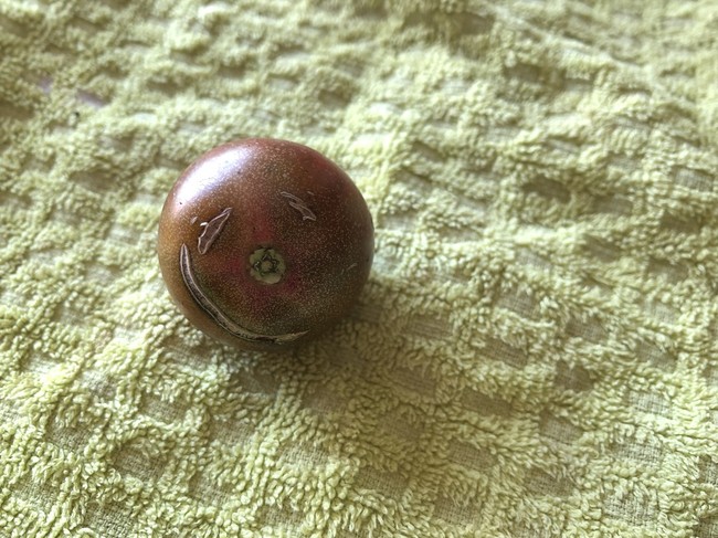 よっ 待ってました 栗丸流 Joy Of Living クックパッドブログ