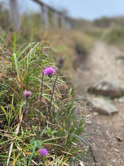 秋の高ボッチ高原 Delighted Life クックパッドブログ 秋の高ボッチ高原 Delighted Life クックパッドブログ