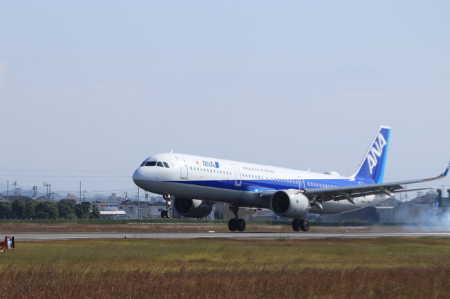 秋ただ中 白雲堂の食べ物ストリート クックパッドブログ 秋ただ中 白雲堂の食べ物ストリート クックパッドブログ