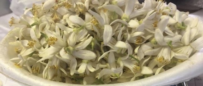 ネロリと言います 山瀬理恵子のアス飯 日記 クックパッドブログ