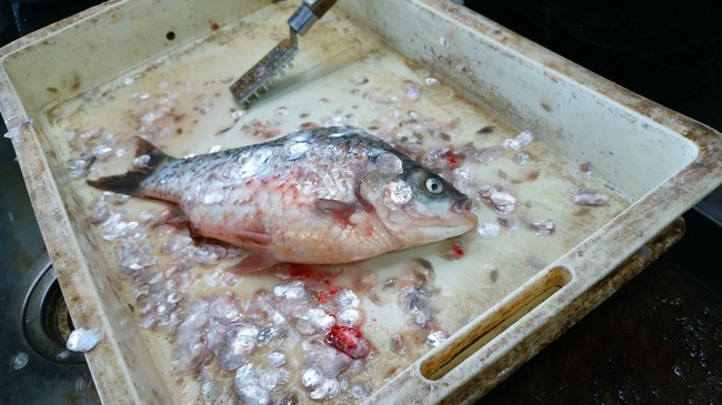 霞ヶ浦産の寒ブナです わかさぎ しらうお 茨城県 霞ヶ浦から クックパッドブログ 霞ヶ浦産の寒ブナです わかさぎ しらうお 茨城県 霞ヶ浦から クックパッドブログ