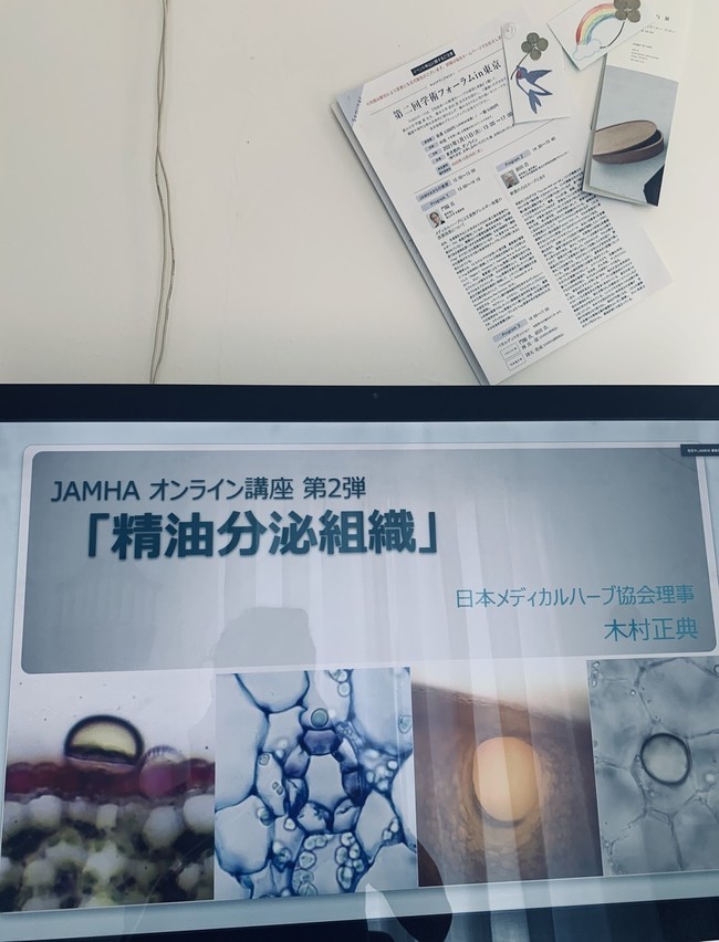 パンデミックの歴史におけるハーブの活用 文 木村正典 山瀬理恵子のアス飯 日記 クックパッドブログ