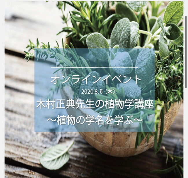 パンデミックの歴史におけるハーブの活用 文 木村正典 山瀬理恵子のアス飯 日記 クックパッドブログ