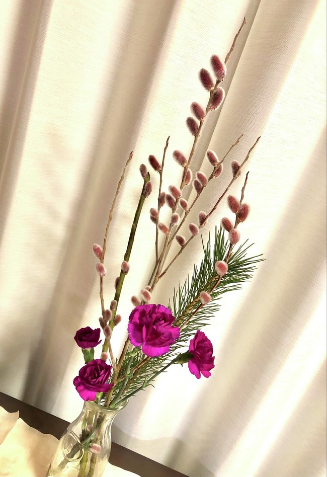本日のお花 ピンク猫柳 華と食べ物 クックパッドブログ 本日のお花 ピンク猫柳 華と食べ物 クックパッドブログ