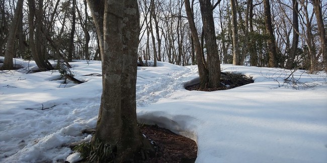 2月11日は下市山に登り たくさんの山友さんに会いました 福井のおじじの旨い食材探し クックパッドブログ