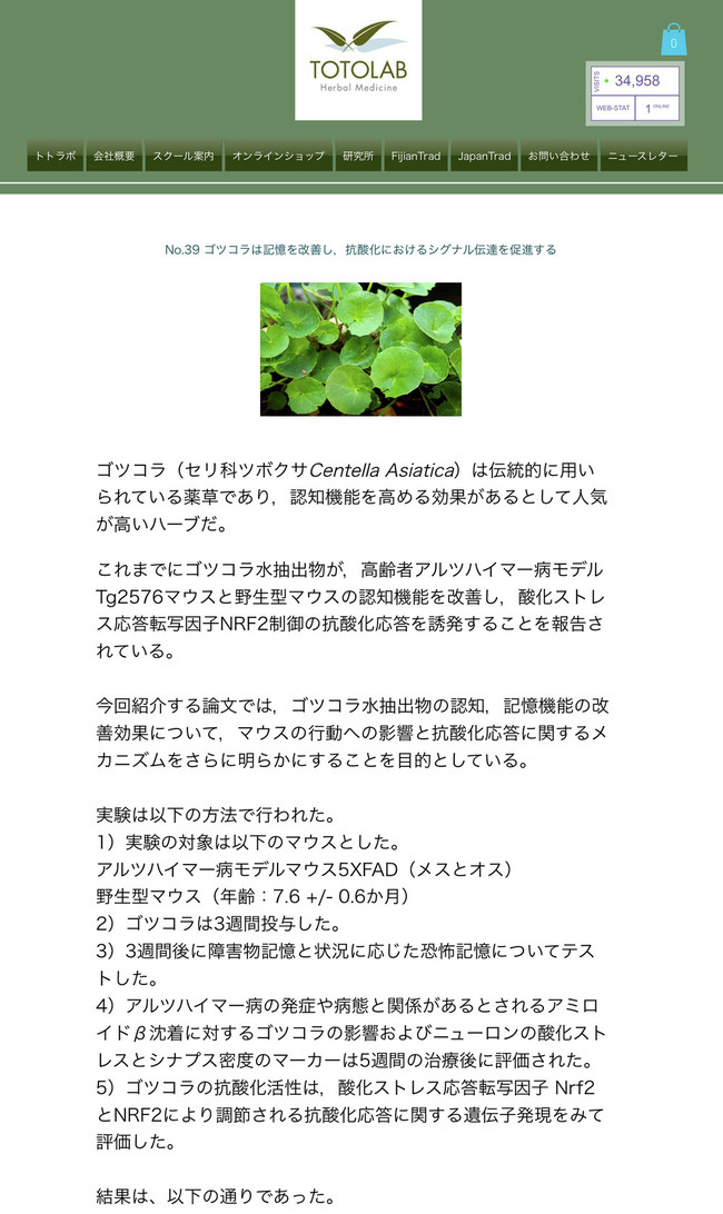メディカルハーブ研究情報解説講座 最新版 植物療法を科学的視点からとらえるために 第5回 山瀬理恵子のアス飯 日記 クックパッドブログ