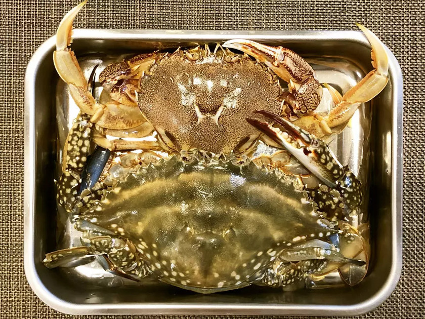 マルガニとワタリガニ クックgonbaoの料理メモ クックパッドブログ マルガニとワタリガニ クックgonbaoの料理メモ クックパッドブログ