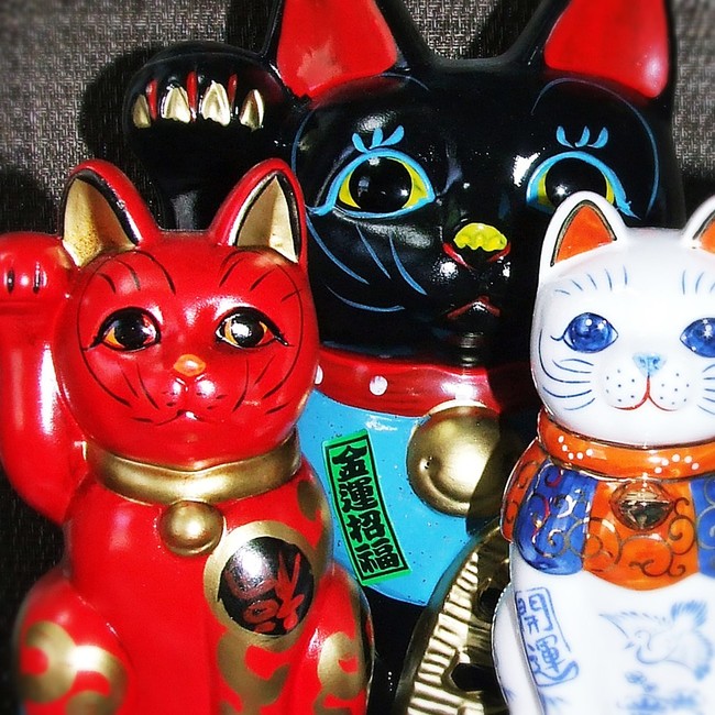 福招く 春招く 幸招く猫 人生を愛せ 愛する人生を生きろ クックパッドブログ