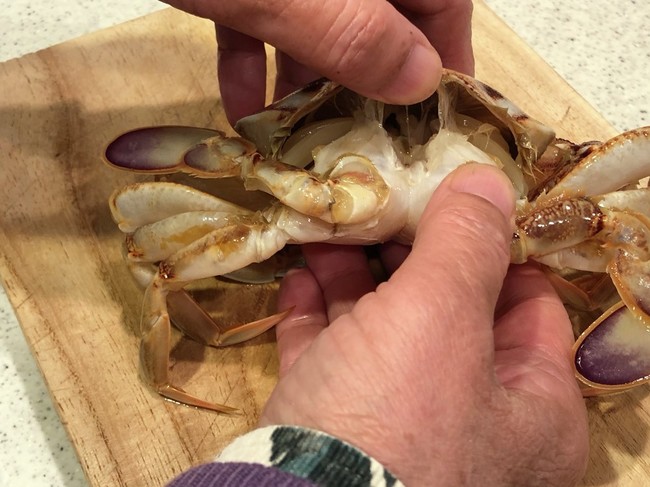 活きたカニの下処理方法 クックｇｏｎｂａｏの料理メモ クックパッドブログ