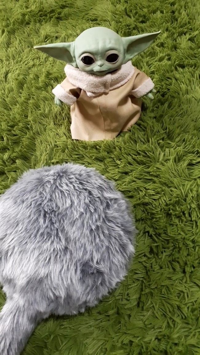 フォースと共にあらんことを ただいまブログ クックパッドブログ