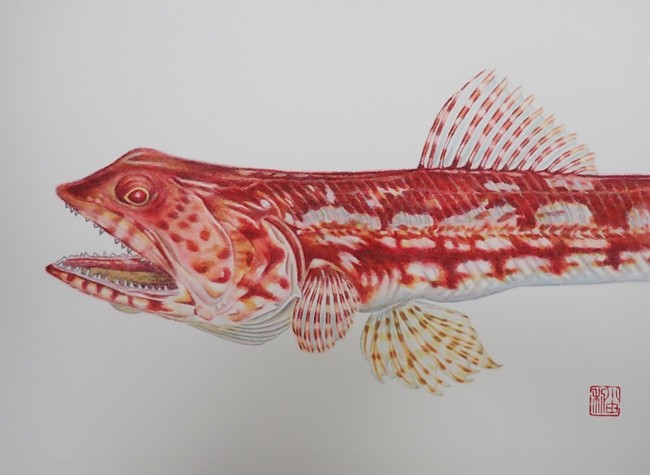 公募展に入選したよ ゆりyo船長 お魚love クックパッドブログ