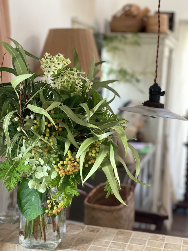 庭のレモングラス 山瀬理恵子のアス飯 日記 クックパッドブログ