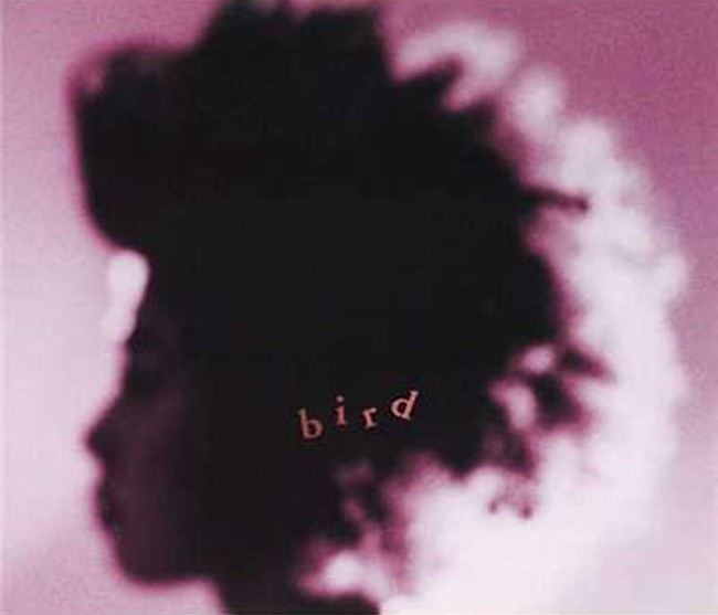 Bird 鳥の歌いまは絶え 人生を愛せ 愛する人生を生きろ クックパッドブログ