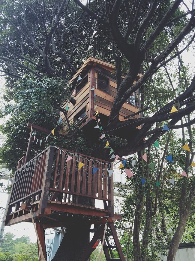 千葉市初 ツリーハウスへのあるカフェ ういんなぁのごはん日記 クックパッドブログ