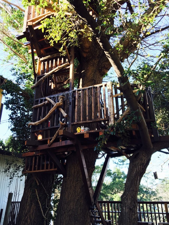 千葉市初 ツリーハウスへのあるカフェ ういんなぁのごはん日記 クックパッドブログ