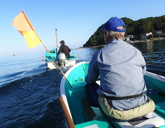 ボート釣りでベラを狙え ゆりyo船長 お魚love クックパッドブログ