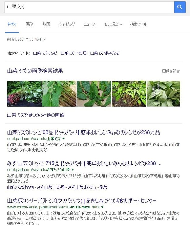 今年も始まった ウワバミ草 採り 福井のおじじの旨い食材探し クックパッドブログ