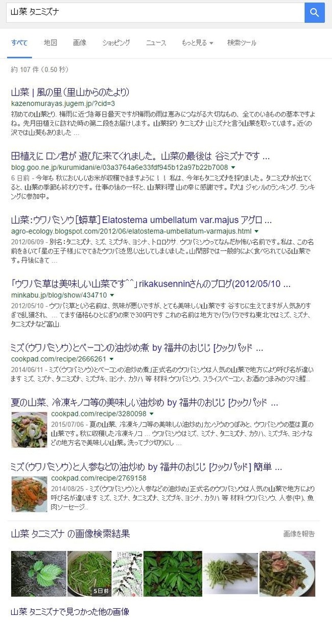 今年も始まった ウワバミ草 採り 福井のおじじの旨い食材探し クックパッドブログ