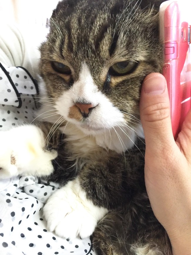 これだぁれ 第２弾 もぐもぐ人 O O クックパッドブログ