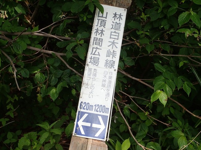 白山高山植物園の続きぃ 福井のおじじの旨い食材探し クックパッドブログ