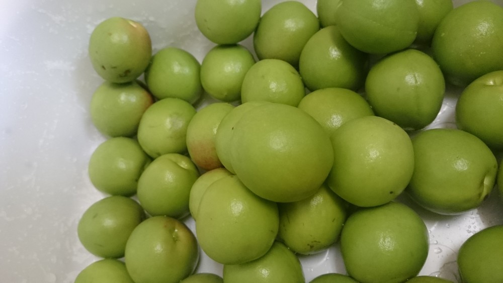 甘カリカリ梅 のんびり気まぐれ日記 クックパッドブログ