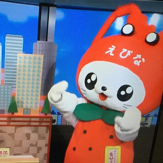 えびーにゃ はーとねこライフ クックパッドブログ えびーにゃ はーとねこライフ クックパッドブログ