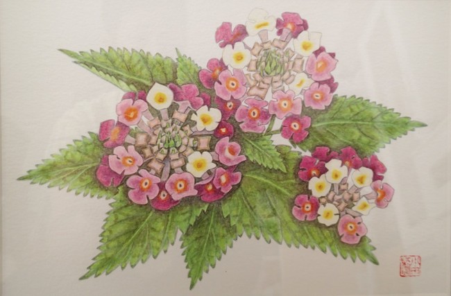水彩画 ガザニア ができた ゆりyo船長 お魚love クックパッドブログ 水彩画 ガザニア ができた ゆりyo船長 お魚love クックパッドブログ