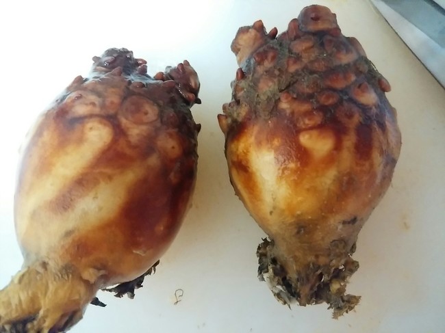 ホヤ水から内臓まで使いました ヾ O O ﾉ ぐーだらダラダラ クックパッドブログ
