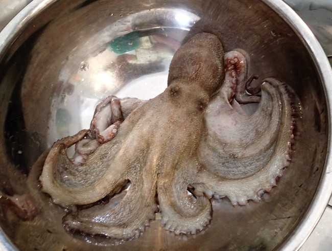 釣ったタコの調理法 ゆりyo船長 お魚love クックパッドブログ