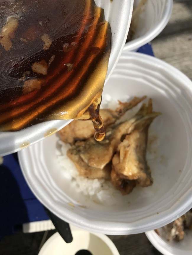 サビキ釣りしてその場で料理 トミー レシピ クックパッドブログ