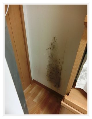 冷蔵庫裏に カビ とまっちゃ嫁の ごはん日記 冷蔵庫裏に カビ とまっちゃ嫁の ごはん日記