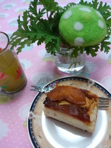 蚊取り草をお部屋に きのこ夫人の時々日記 クックパッドブログ