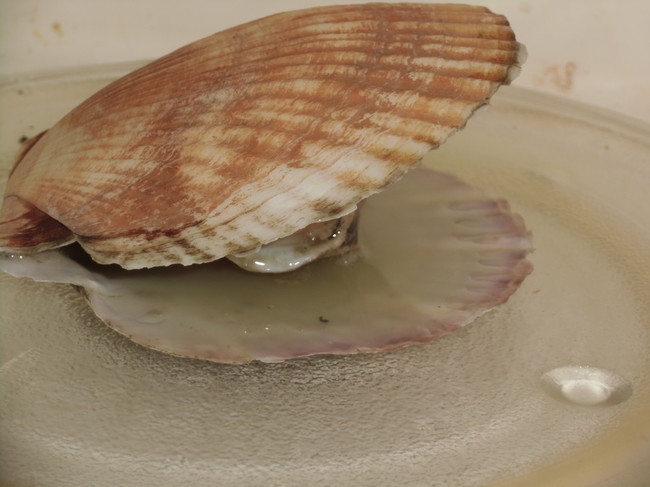 レンジでチン