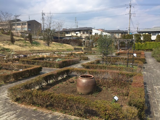 メディカルハーブガーデン ラクラクダの釣り ごはん日記 クックパッドブログ