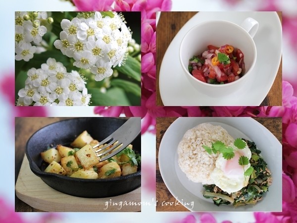 小手毬咲くころ ケールでエスニックlunch うち Gingamom S Cooking 見る 思う 料理する クックパッドブログ 小手毬咲くころ ケールでエスニックlunch うち Gingamom S Cooking 見る 思う 料理する クックパッドブログ