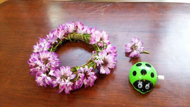 蓮華の花かんむり 田舎暮らしのごはん日記 クックパッドブログ