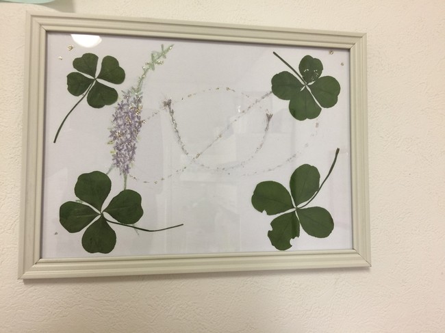 財運 の意味を持つ 5つ葉クローバー みるぽんうさぎのお家 クックパッドブログ