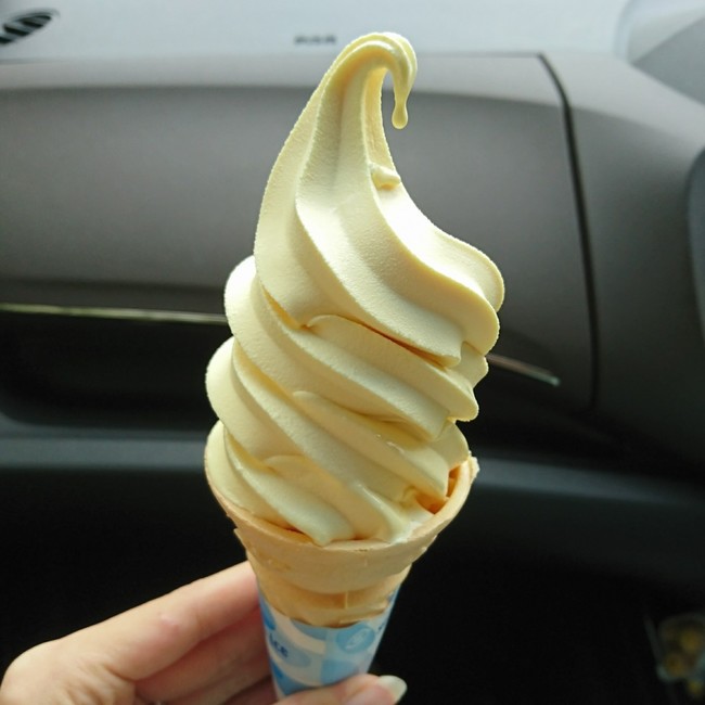 旅行☆ 九尾の狐☆気まぐれ日記 クックパッドブログ