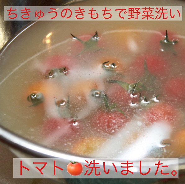 ちきゅうのきもち で野菜洗い 残留農薬除去 グルテンフリー ビーガン食材vegeheart ベジハート クックパッドブログ