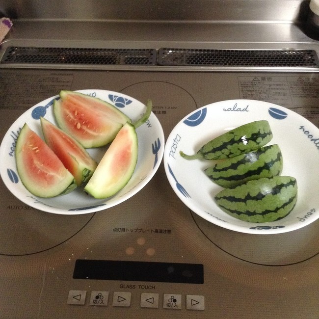 無農薬やのスイカ収穫しました おゆきちゃん クックパッドブログ