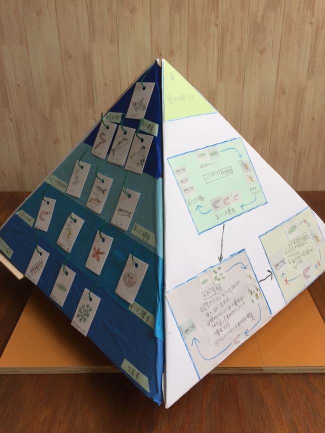 夏休みの宿題 自由工作 自由研究 食物連鎖 Aka Ru 簡単おうちご飯 クックパッドブログ