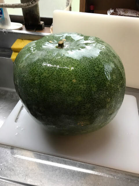 大きな冬瓜の煮物 食いしん坊 バーバの田舎料理 クックパッドブログ
