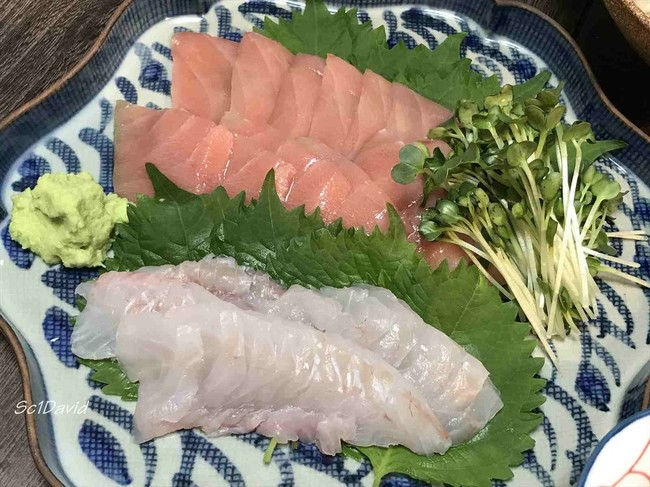 佐渡産ハタ本マグロ中トロ刺身 鮭子 鶏団子獅子唐椎茸煮 ブブログ Davidのごはん日記毎日美味しいといいなあ クックパッドブログ