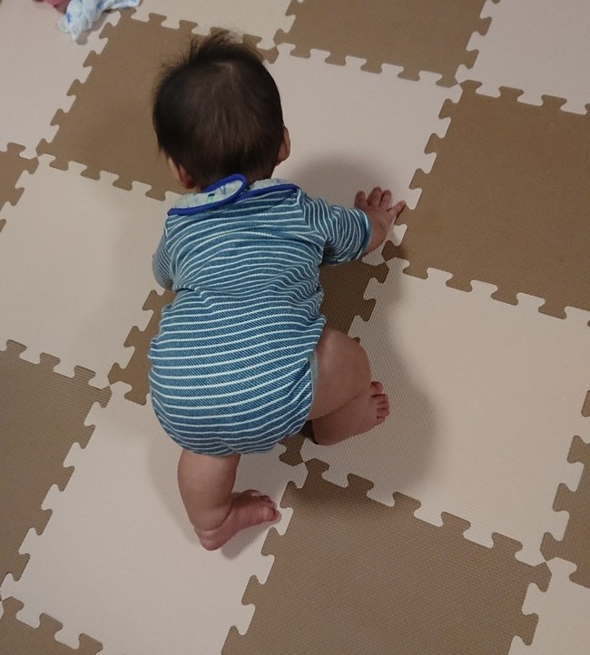 高ばい ぱーねのごはん日記 クックパッドブログ