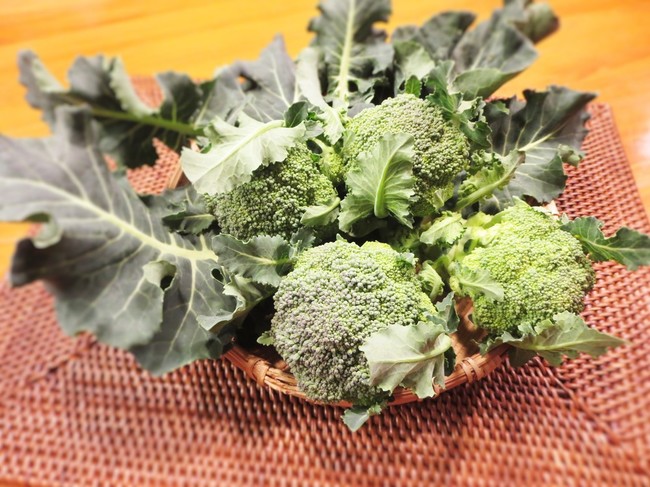 ミニブロッコリー おぎのやの釜飯 ワインパープルの Small Happiness クックパッドブログ