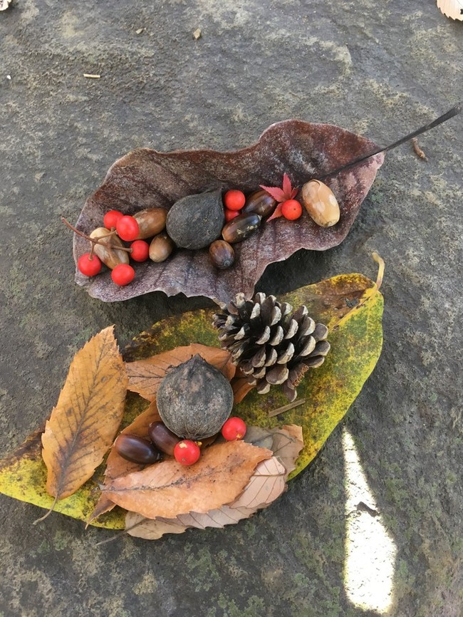 季節限定 お飯事 Hana S Note クックパッドブログ