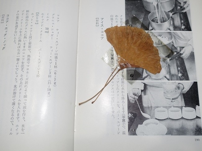 暮らしの知恵 銀杏の葉は本の黄ばみを防止 日々色々つくばの暮らし クックパッドブログ
