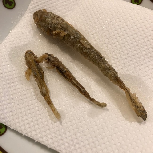 手作り厚揚げ 油揚げ話題入り大感謝です ラクラクダの釣り ごはん日記 クックパッドブログ