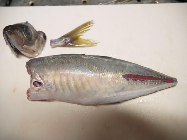アジを使ってマグロの捌き方 のりんごの魚のネタ帳 クックパッドブログ