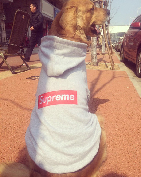 グッチ ペット服 シュプリーム犬服 オフホワイト 犬の服 実用性にすぐれた服おすすめ シュプリーム犬服 犬リード Lv犬用首輪ブランドコピー クックパッドブログ